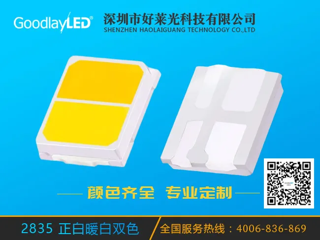 2835 正白暖白双色